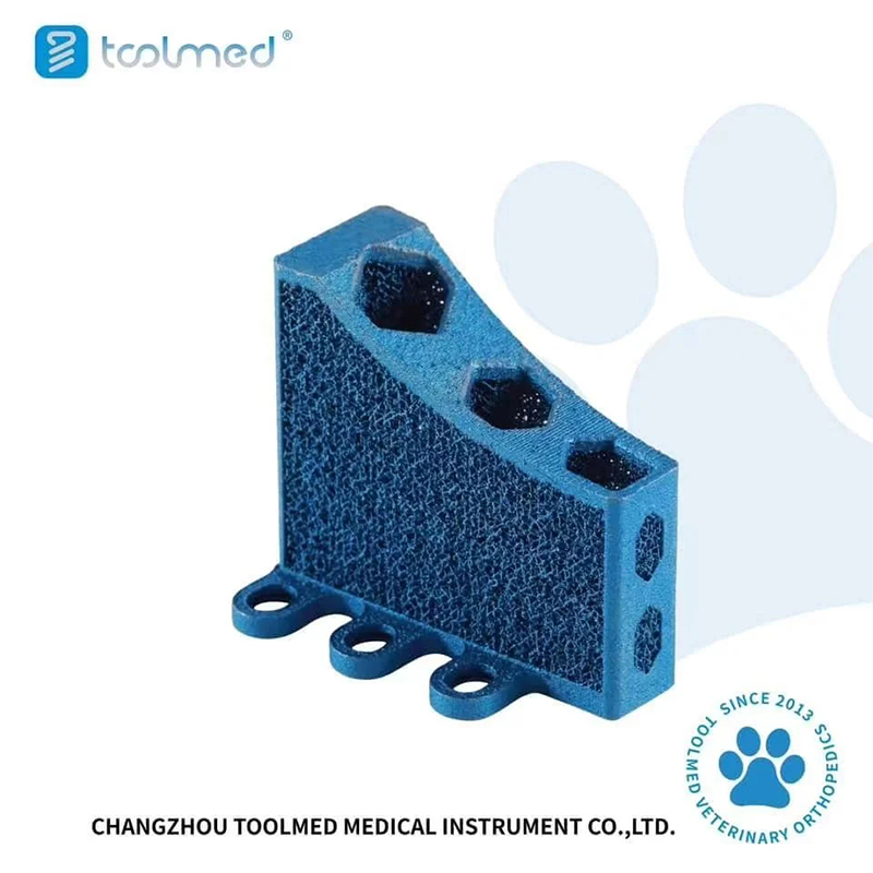 Veterinary Orthopedic 3D Printing Tta Cage Titanium Implants for Animal Tibial Surgery